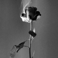 ful by antman